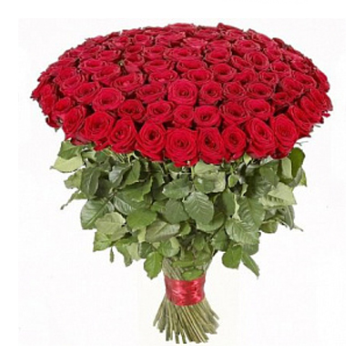 101 красная высокая элитная роза 80 см