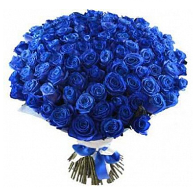 101 синяя роза 70 см
