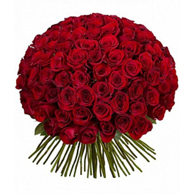 101 красная роза Ред Наоми 40 см