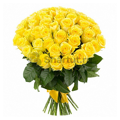 51 желтая роза 60 см