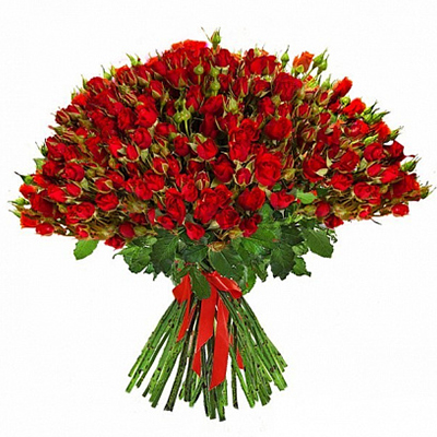 51 красная кустовая роза 50 см