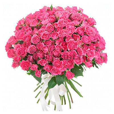 25 кустовых розовых роз 60 см